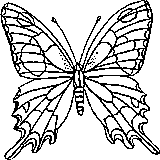 butterfly coloring printables for kids