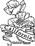 50 State Flowers Coloring Pages for Kids